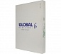 Радиатор Global STYLE PLUS 500 10 секций